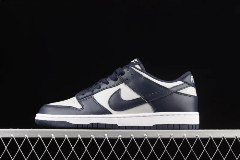Nike Dunk Low Georgetown