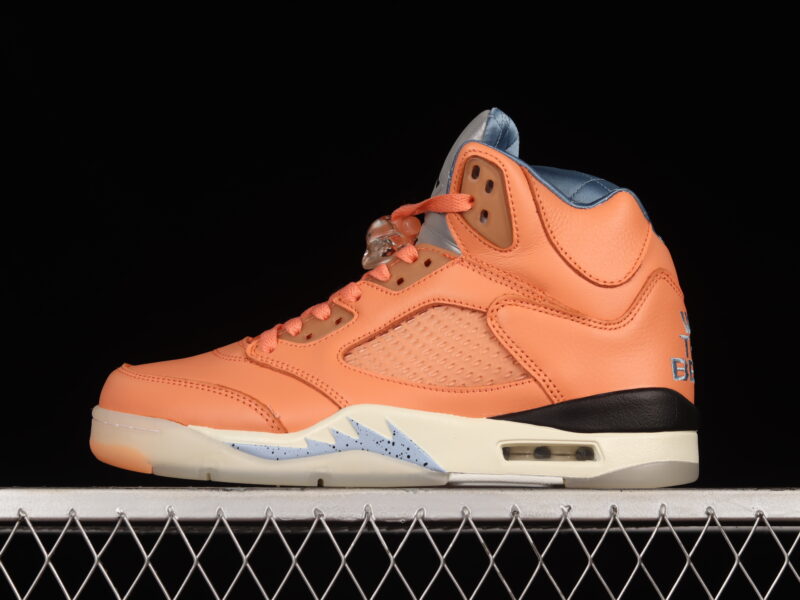 DJ KHALED X AIR JORDAN 5 WE THE BEST CRIMSON BLISS